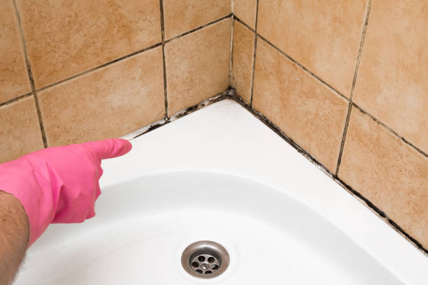 Best Mold Testing  in Northfield, NJ